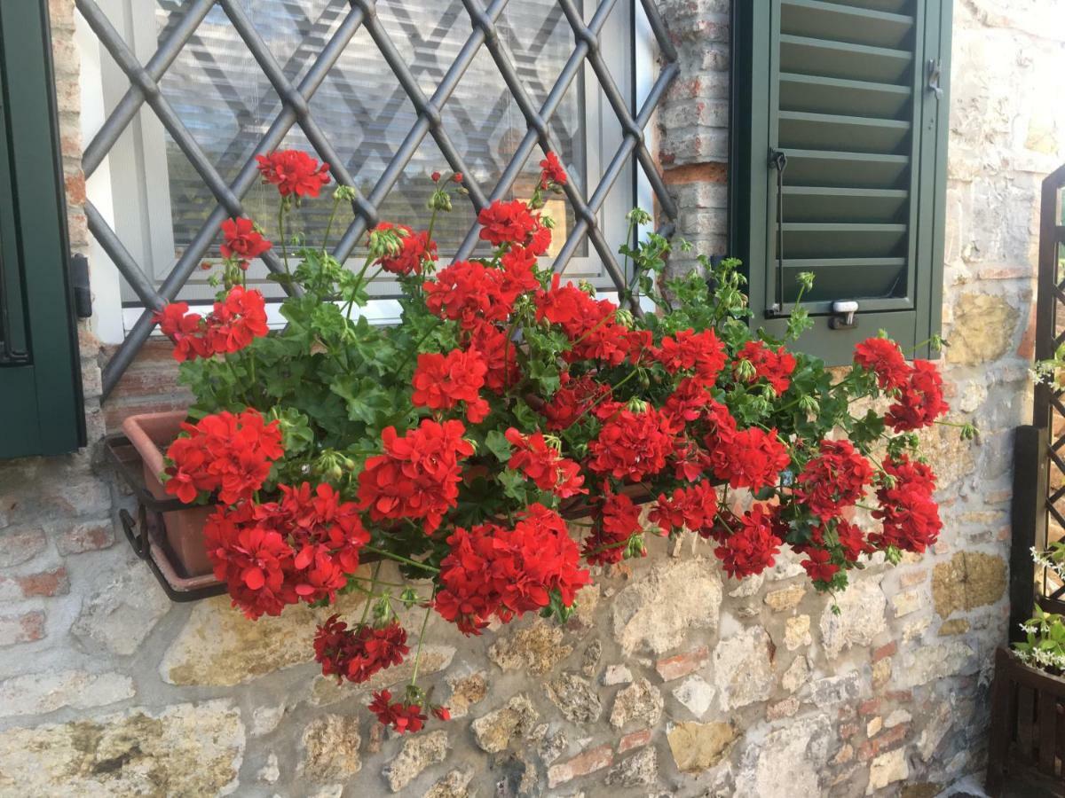 Casa Pietra Del Sole Villa Lucca Dış mekan fotoğraf