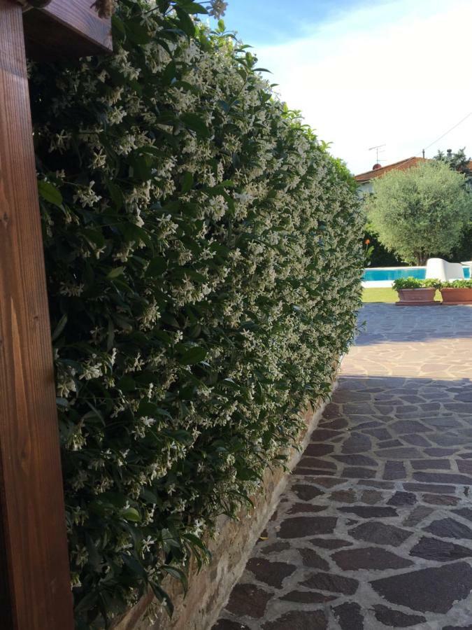 Casa Pietra Del Sole Villa Lucca Dış mekan fotoğraf